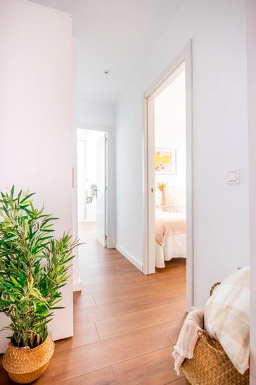 Hotel Patio de la Alameda | Sevilla | Fotos 6