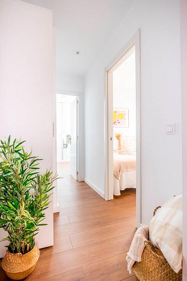 Hotel Patio de la Alameda | Sevilla | Fotos 6